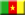 Cameroun (Master affaires commerce international)