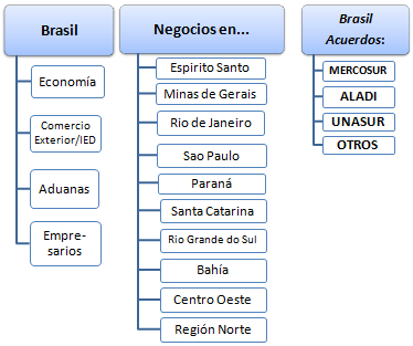 Máster curso: Negocios en Brasil