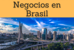 Formación Online (Doctorado, Másters / Maestrías, Cursos): Negocios en Brasil