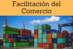 Programas de Facilitación del Comercio Exterior. Formación Online
